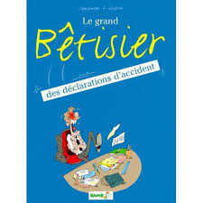 Elle est aussi truffée de bêtises, de sottises, de un homme a décidé de rendre à cet autre volet de notre histoire toutes ses lettres de noblesses : Le Grand Betisier Cdiscount