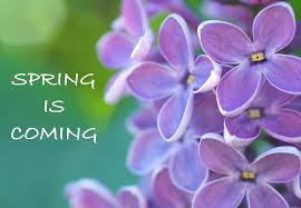 Image result for pictures of  spring coming
