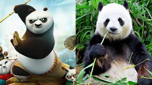 Kung fu panda had a wonderful theme of accepting that things don't always go your way and that you should never judge a book by it's cover. Kung Fu Panda 3 Characters In Real Life All Characters 2017 Youtube