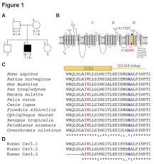 Segregation Of V1689m And A1705t Hcav3 2 Mutations In An Als