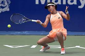 Wang , zheng jie ile çiftler halinde ortak olarak 2014 shenzhen açık'ta wta turu'na ilk kez katıldı. Zhu Lin Tennis Alchetron The Free Social Encyclopedia