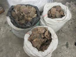 Pangolin scales can fetch up to $3,000 (£2,300) per kilo on the black market. Hong Kong Sar Intercepts Massive Shipment Of Suspected Pangolin Scales Wildaid