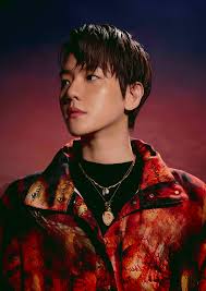 Exo members profile name, age, birthday (full biography. Baekhyun Exo Wiki Fandom
