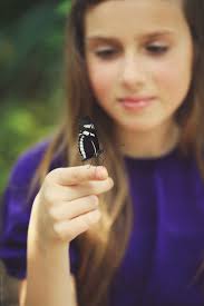 Holiding A Butterfly #3" by Stocksy Contributor "ALICIA BOCK"