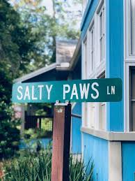 Check spelling or type a new query. Animal Hospital Johns Island Sc Animal Hospital Near Me Angel Oak Animal Hospital