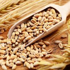 Die einzige therapie ist eine lebenslange, strenge glutenfreie ernährung. Zoliakie Erkennen Und Behandeln Ndr De Ratgeber Gesundheit
