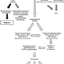 Raw honey is a potential source of botulism spores, according to the national institutes of health. Laboratory Diagnostics Of Botulism The Standard Methods Are Marked Download Scientific Diagram