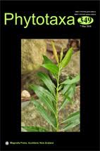 Image result for Diaphananthe lebelii