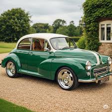 Image result for Autumn Red 1964 Morris