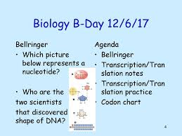The Structure Of Dna All Life On Earth Uses A Chemical