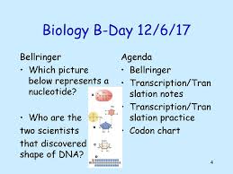 The Structure Of Dna All Life On Earth Uses A Chemical