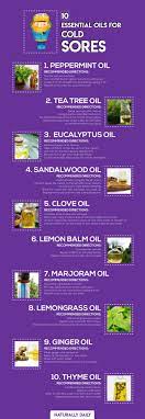 20 Best Essential Oils For Cold Sores Relief Benefits And User Guides Essential Oils For Babies Essential Oils For Colds Essential Oils For Kids