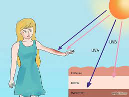 Rays | what are ultraviolet rays? How The Sun Damages Skin Sero