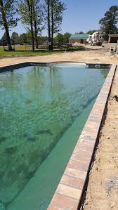 Best pools zum kleinen preis hier bestellen. Help Need Advice On What To Do With The Hardscape Around Pool