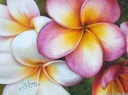 Painting Pink Plumeria Flowers Time Lapse Youtube Flower Drawing Watercolor Flowers Paintings Flower Painting