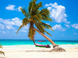 Resultado de imagen de IMAGES DE PLAYA