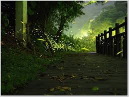 食 大溪 湳仔溝14號 平價美味的中式無菜單料理兼賞螢火蟲 壞波妞の旅行食踨 痞客邦 favorite places places favorite