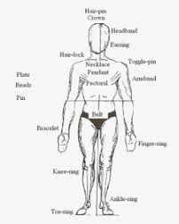 Can you guess which features women find sexiest? Female Body Parts Name With Picture Free Of The Download Human Body Parts Name In Spanish Hd Png Download Transparent Png Image Pngitem