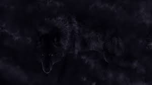 Black Wolf In Mist 1920x1080 Black Wolf Active Wallpaper Wolf Wallpaper