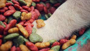 We did not find results for: Where To Find Free Dog Food Samples Top Dog Tips