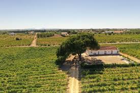 Accueil / vins / blanc / péninsule de setúbal. Comissao Vitivinicola Regional Da Peninsula De Setubal Setubal Bay
