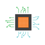 Meet Our Management Team