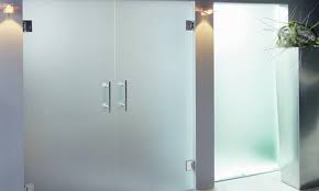 Shower door only, door with panel or panel only. Difference Between Etched And Frosted Glass