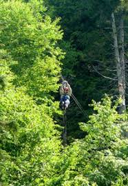 Bretton Woods Nh Zip Line Canopy Tour New England Thrill Ride Nature Mountain Adventure Washington Resorts Bretton Woods New England Travel