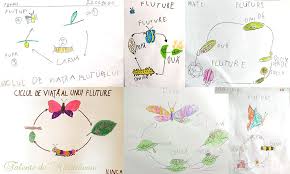 Izvoarele amazonului pe ucayali si respectiv, pe afluentul acestuia apurimac au fost stabilite in 1971 de catre expeditia condusa de loren mcintyre. Fluture Talente De NÄƒzdrÄƒvani