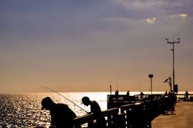 Two would certainly do it. A Tour Of Sarasota S Fishing Piers Sarasota Magazine