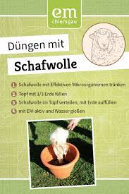 Schafwolle Mit Effektiven Mikroorganismen Kombiniert Der Perfekte Langzeitdunger Fur Den Garten Diy Anleitung Fur Die Schafe Mikroorganismen Langzeitdunger