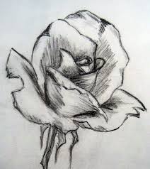 Disegno Di Una Rosa Chiaro Scuro Con Matita Disegni Belli Ma Facili Disegni A Matita Facili Disegni A Matita Disegni