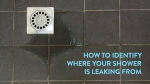 your shower is leaking from