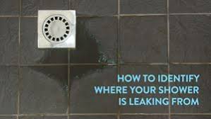 Fix your leaking shower without removing tiles. Identify Where Your Shower Is Leaking From Tap Warehouse