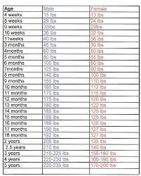 Bullmastiff Growth Chart Goldenacresdogs Com