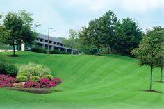 * all of our landscaping is guaranteed. 28 Affordable Lawn Care Ideas Affordable Lawn Care Lawn Care Lawn