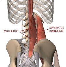 Check spelling or type a new query. Poor Posture And Tight Lower Back Muscles