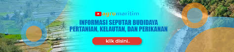 Surat wakil ambil cek bayaran. Ntnpwr5hnddxom