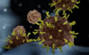 How to adapt your strategy during the coronavirus lockdown – and ...