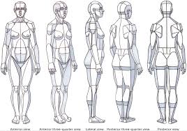 Check spelling or type a new query. Structures And Planes Of The Figure Classic Human Anatomy In Motion The Artist S Guide To The Dynamics Of Figure Drawing