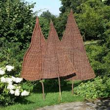 Sichtschutz Weidenbaum Tanne Natur Sichtschutz Weide Weidenbaum Sichtschutz Baume