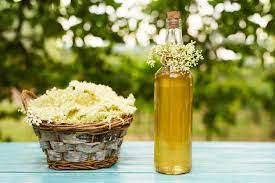 The elder flower also acts as an antiviral and an immune stimulant and is used to lower fever and to treat coughs. Common Elderflower Uses Learn About Elderflower Recipes And Ideas