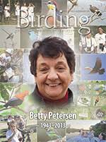 Birding Online: July 2013