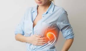The skin is an organ made up of epithelial tissue which protects the body from dirt, dust, bacteria and other microbes that may be harmful. What Does The Spleen Do Function Location And Carolina Digestive