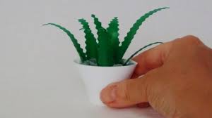 Compra una planta de cactus en un centro de jardinería local. Como Hacer Una Planta De Aloe Vera En Miniatura Con Botellas De Plastico Recicladas Reciclado Creativo Por Rosa Montesa