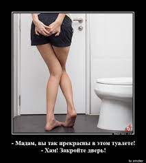 Мадам, вы так прекрасны в этом туалете! - Хам! Закройте дверь! »  Demotions.ru - ДЕМОТИВАТОРЫ.