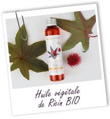 Vous pourrez alors retrouver votre zone géographique et le montant des frais de livraison associés. Huile Vegetale De Ricin Bio Proprietes Et Utilisations Aroma Zone