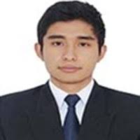 50+ "Diego Sulca" profiles