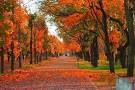 نتیجه تصویری برای متن عینی برای انشا پاییز