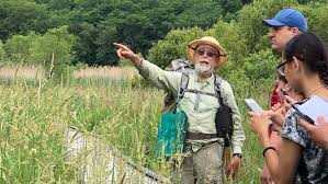 Foraging gains popularity: Steve Brill hosts tours, walks